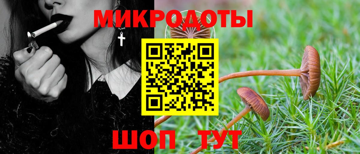 Псилоцибиновые грибы Psilocybe  Вход с VPN  Заречный 